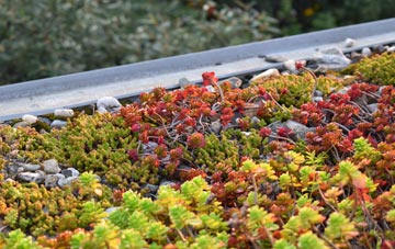 the cost of Craigrothie green roof installation